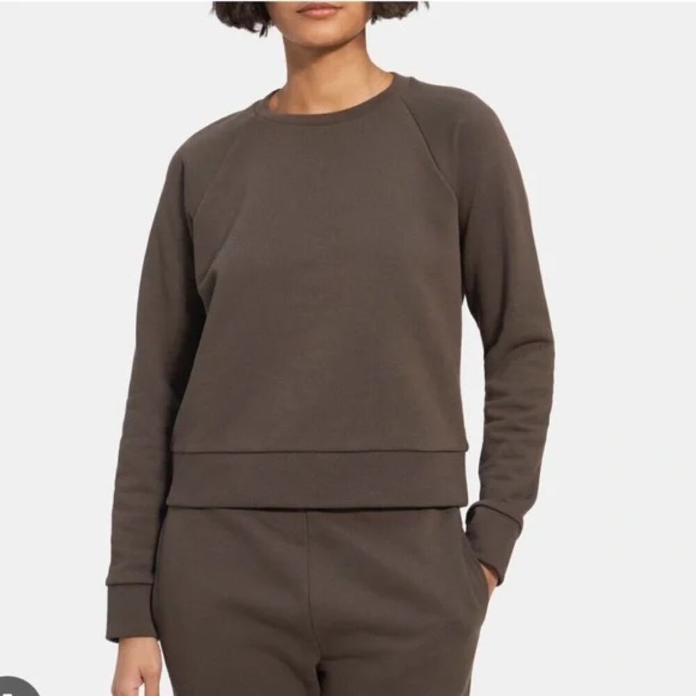 Theory Ellie Sweatshirt in Spring Terry